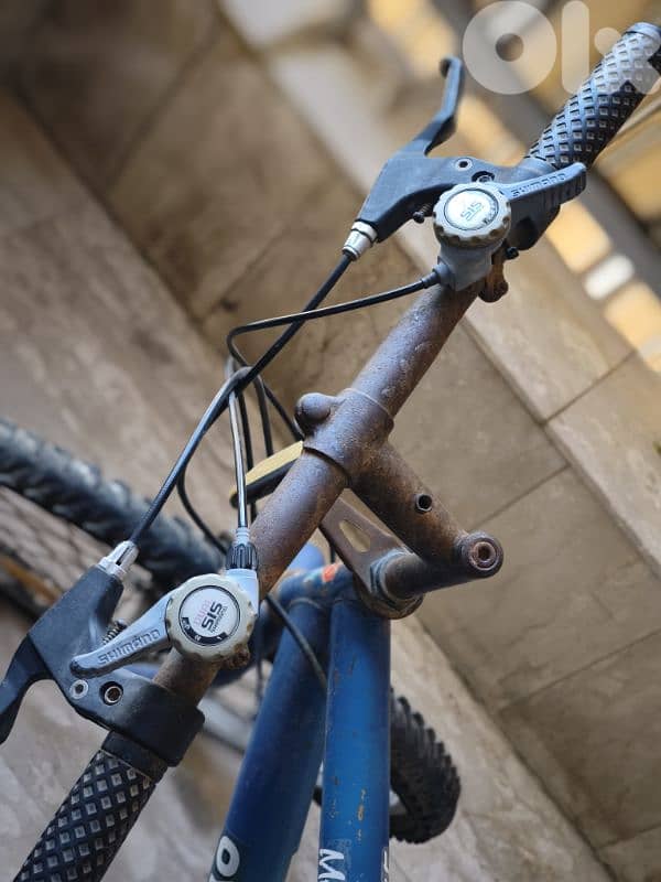 bicycle oyama tiger japan 1