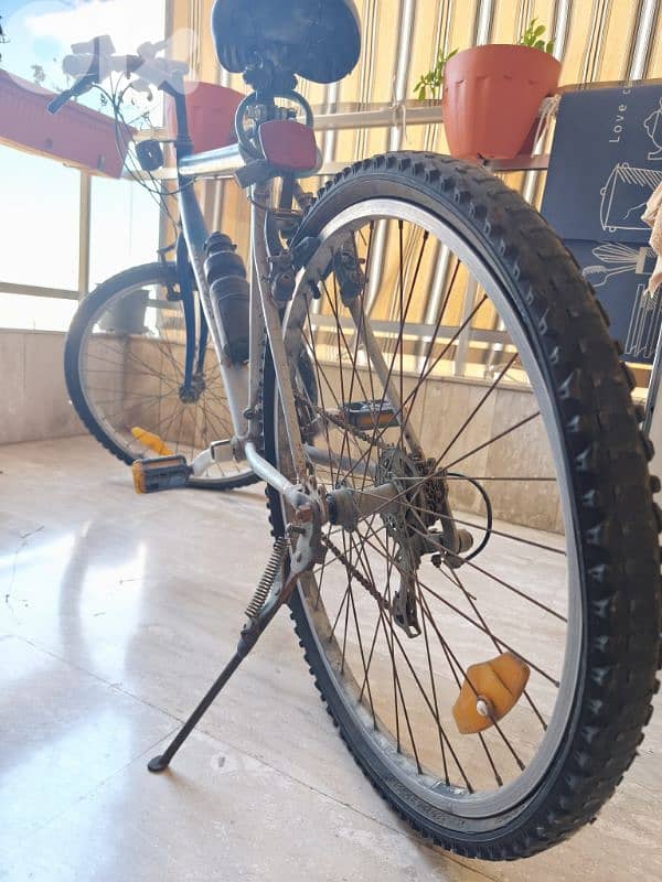 bicycle oyama tiger japan 2