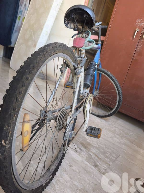 bicycle oyama tiger japan 3