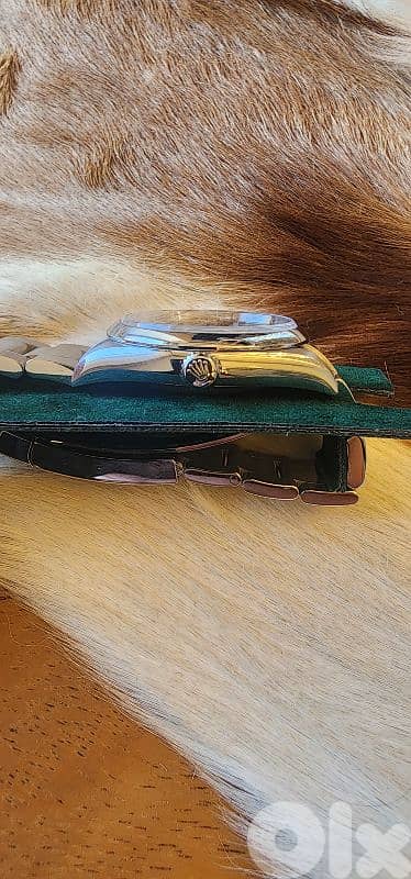 Rolex OP Green Dial 3