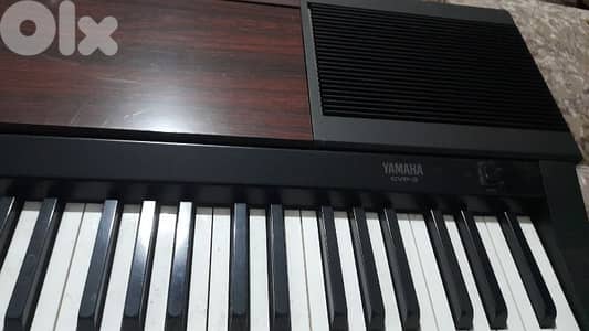 دير الزهرني