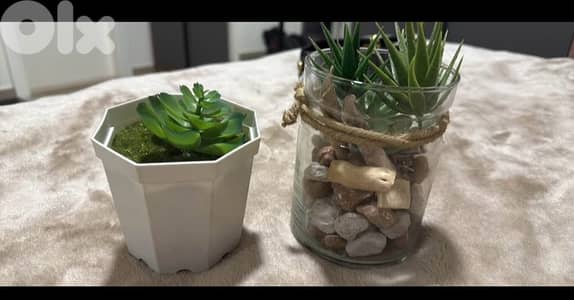 artificial plants decoration