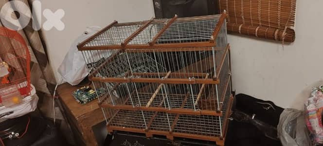 عين الرماني