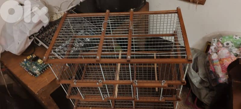 عين الرماني 7