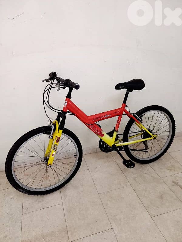 بسكليت قياس 24 1