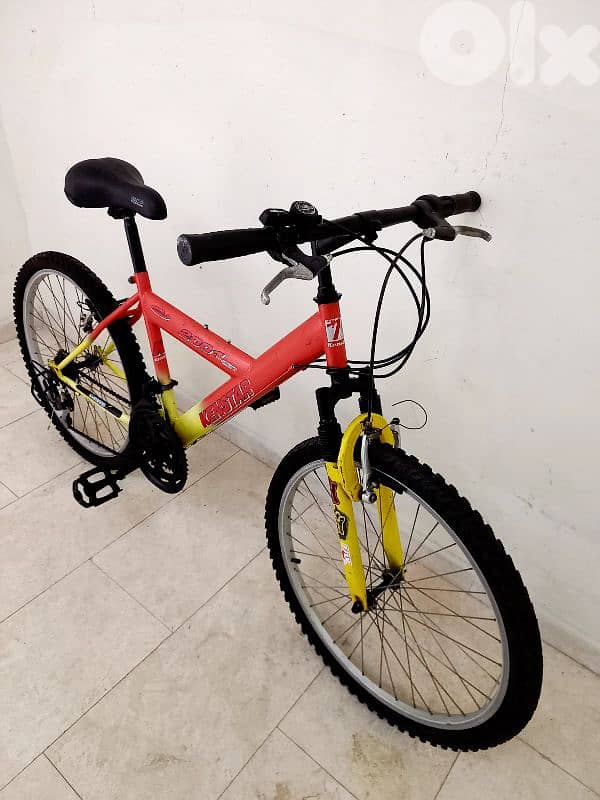 بسكليت قياس 24 3