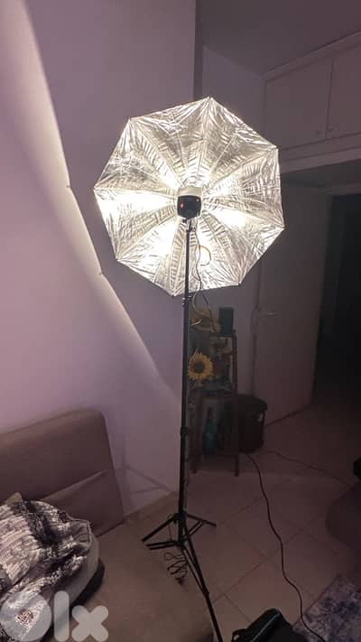 Complete Professional Studio Lighting Kit