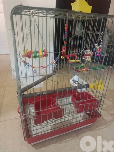 قفص ببغاء او كروان مع زينة