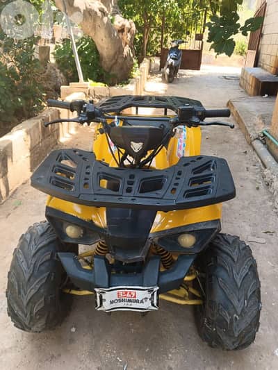 Atv for sale