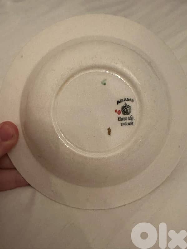 Antique 2 beautiful plates 1