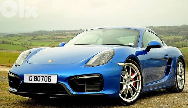 Four Special Car Plates for sale 3