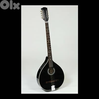 New Electric and Acoustic Irish bouzouki 8 strings