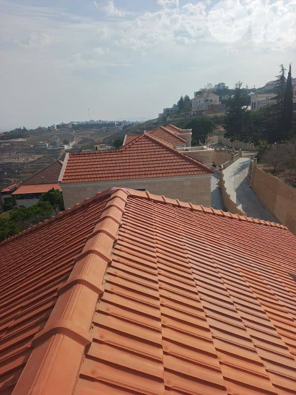 جنوب لبنان 1