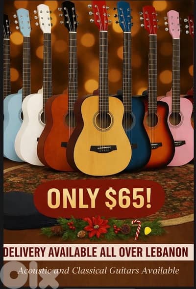 Karlschneider Guitar classic and acoustic