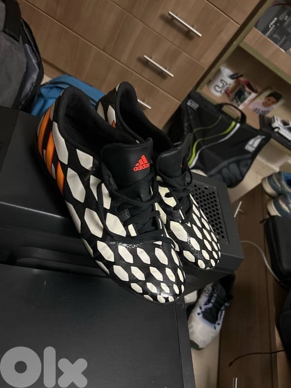 Predito 14 addidas 1