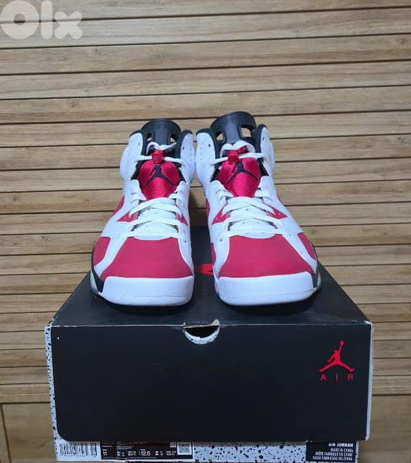 Air Jordan 6 Carmine 1