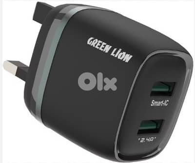 Green Lion Dual USB Charger + Cable – Cash on Delivery