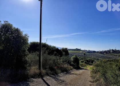 Land for sale in Gharzouz Jbeil