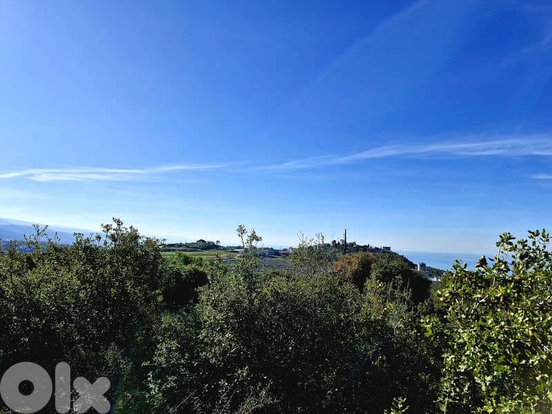 Land for sale in Gharzouz Jbeil 1