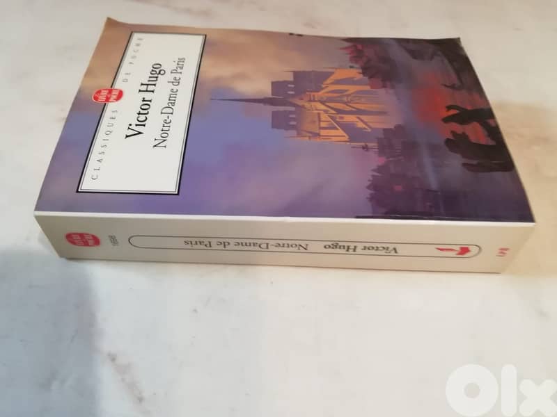Victor Hugo Notre dame de Paris 2