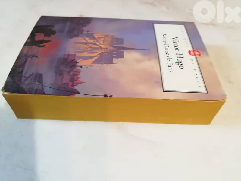 Victor Hugo Notre dame de Paris 3