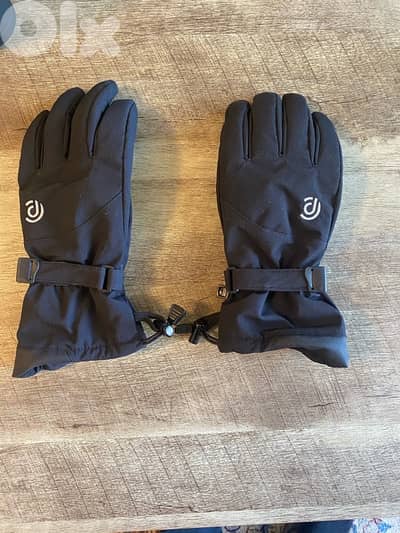 Snow Gloves