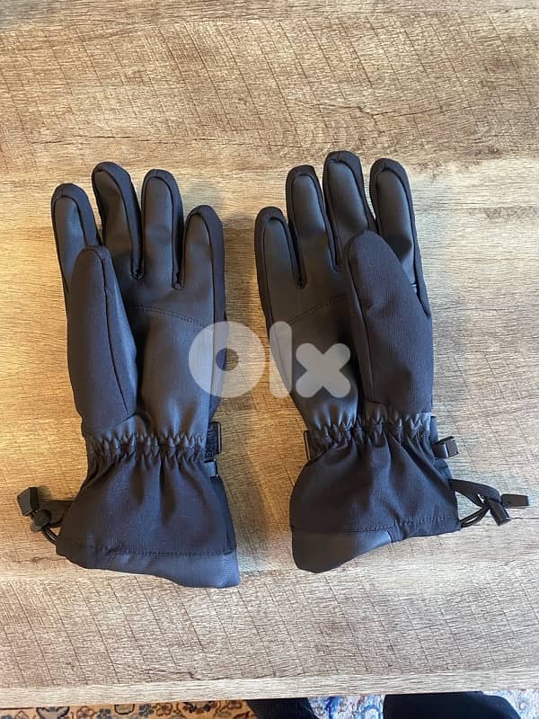 Snow Gloves 1