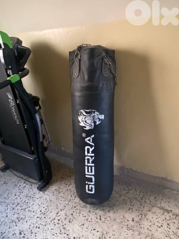 Home gym equimpent 1