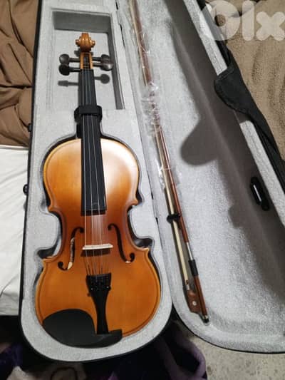 violin