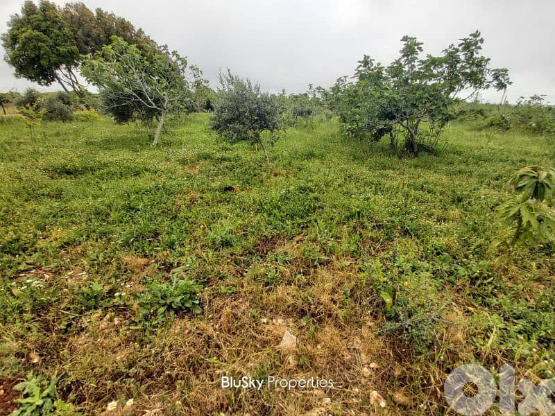 Prefab House with Land For SALE In Maad #ES 2