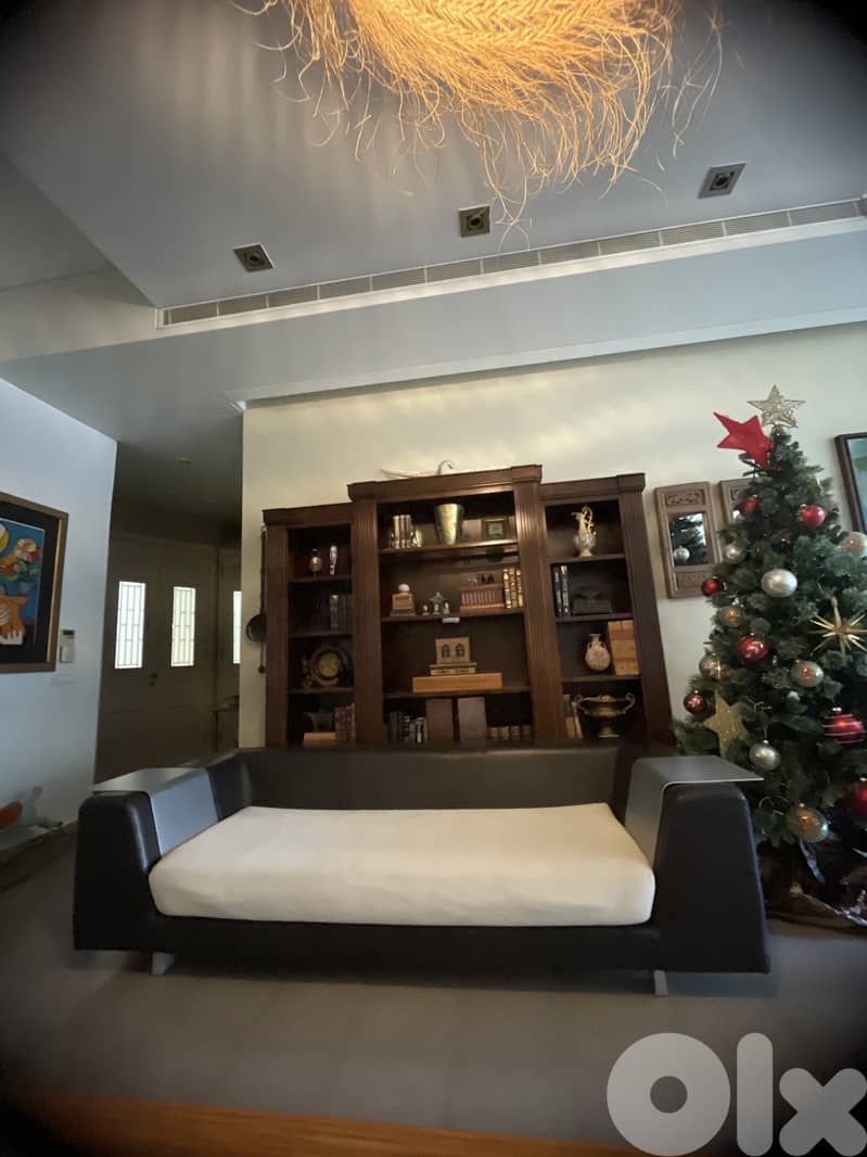 Modern Leather sofa 4