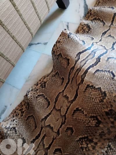 جلد حية افريقي