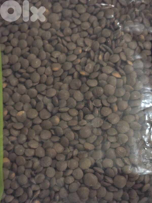 رز او عدس او فاصوليا او برغل خشن الكيلو ب ١٢٠ الف 3