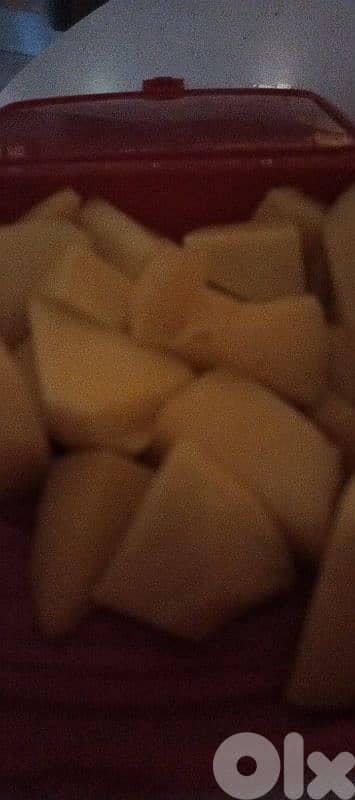 مطلوب ببغاء تمنة