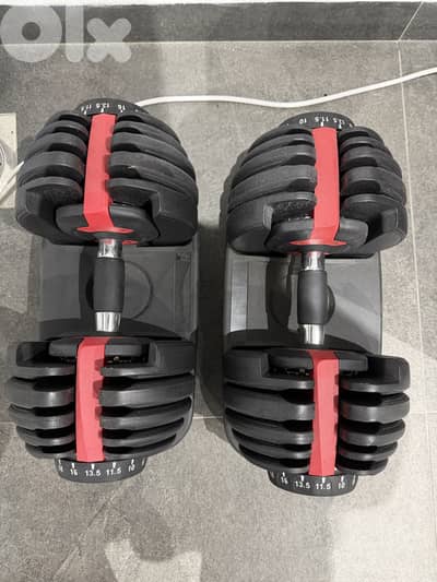 Adjustable Dumbbells 2,5-24kg, 2 pieces