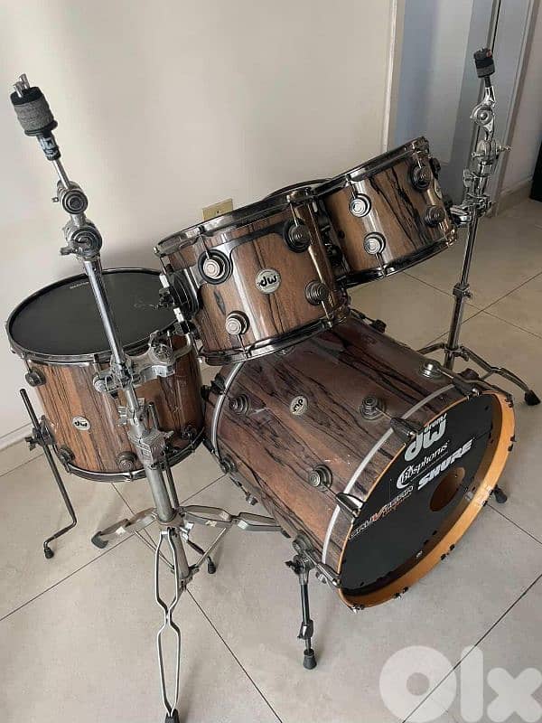 dw drums 1