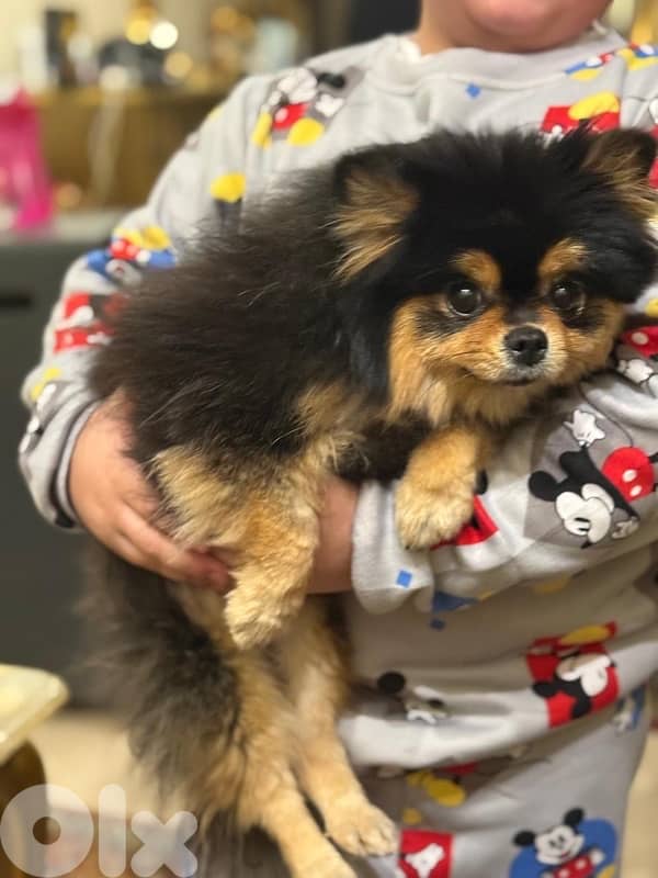 للجاديين فقط 2