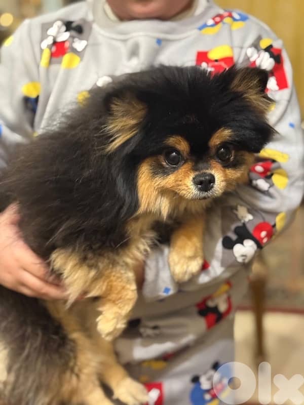 للجاديين فقط 4