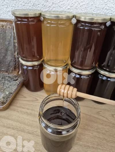 عسل النحل الطبيعي الأصلي