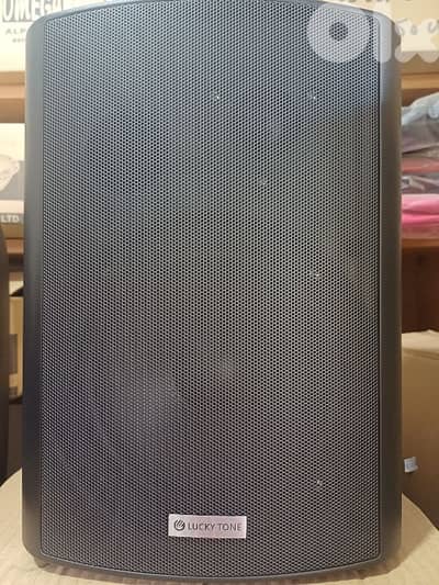 wall speaker 6 inch 100v 40w