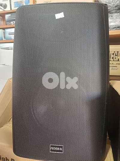 speaker 8 inch 80w 100v & 8 ohm