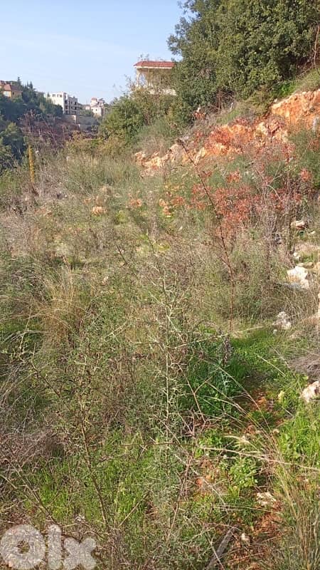 أرض البيع في منطقة البرجين - الشوف 2