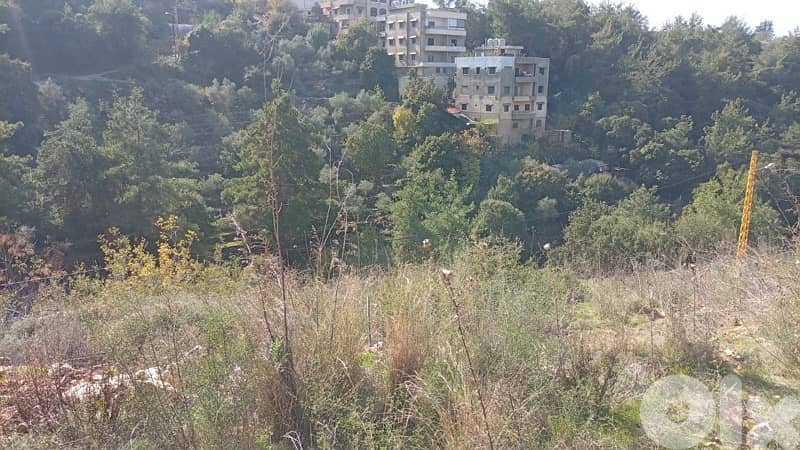 أرض البيع في منطقة البرجين - الشوف 3