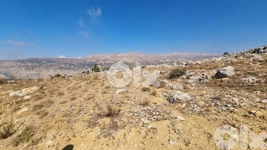 Land for Sale in Majdal Tarchich أرض زراعية للبيع في مجدل ترشيش