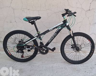 New bike phoneix Fly iyess 24 b 75$