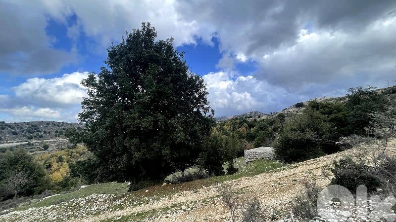RWB328CA - Land for sale in Mechmech Jbeil 4