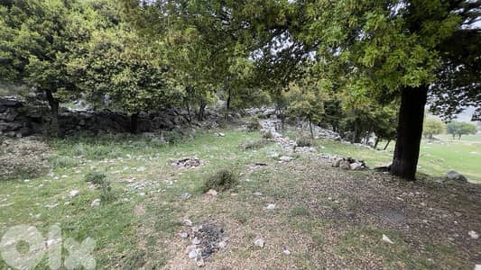 RWB244CA - Land for sale in Lehfed Jbeil