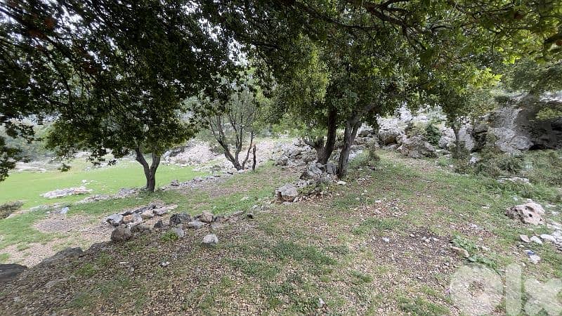 RWB244CA - Land for sale in Lehfed Jbeil 1