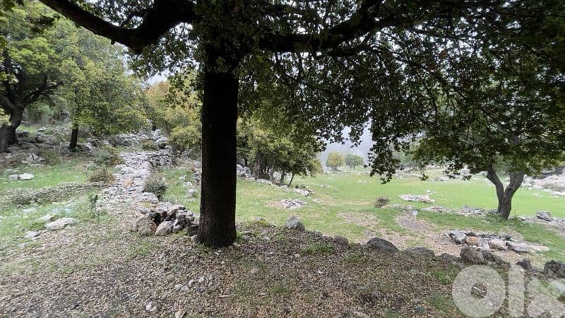 RWB244CA - Land for sale in Lehfed Jbeil 2