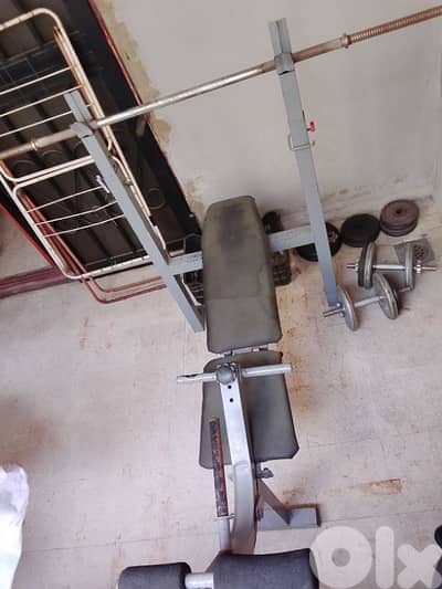 حديد ومقعد تمرين